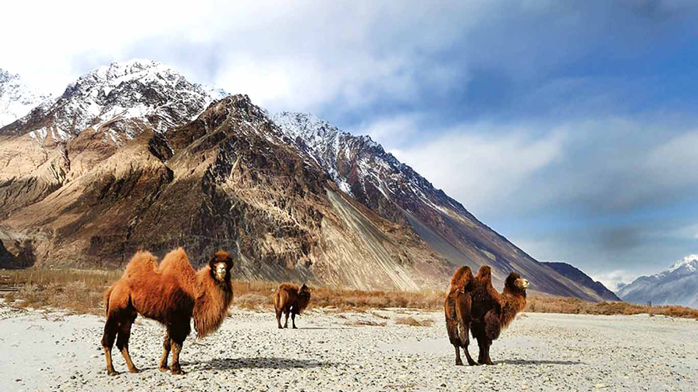 Leh ladakh tour packages from delhi