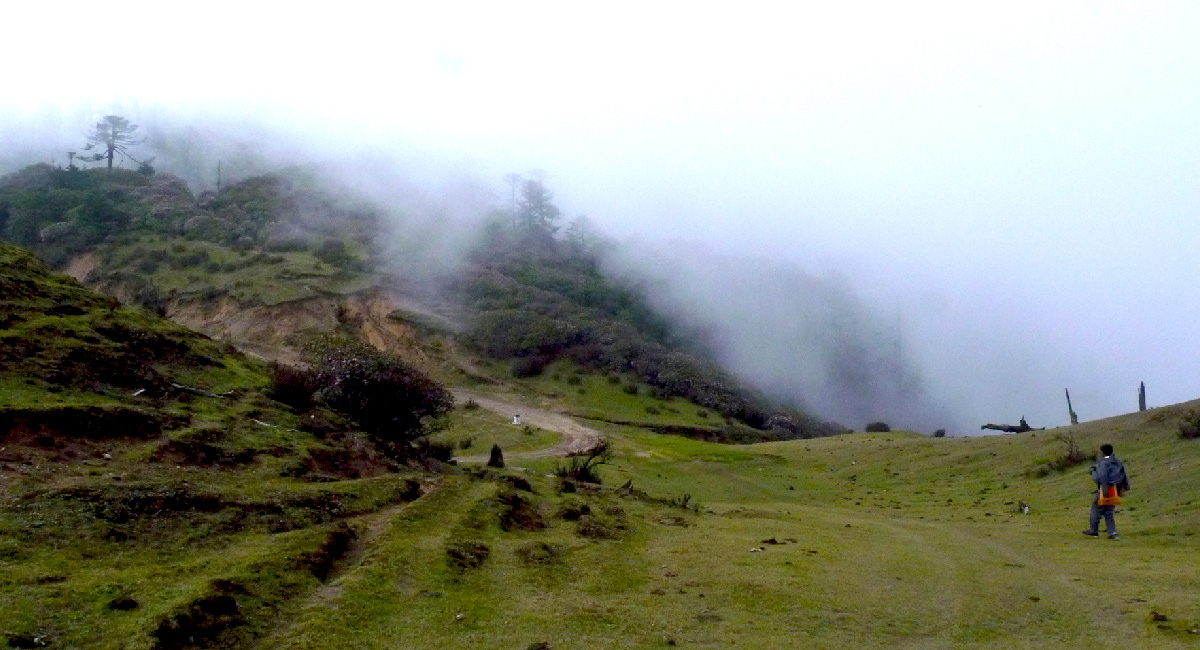 Sandakphu Phalut Trek is a most wonderful trail for all the adventure lovers and nature lovers, and it’s a 7 days trek at the height of 11,929 ft