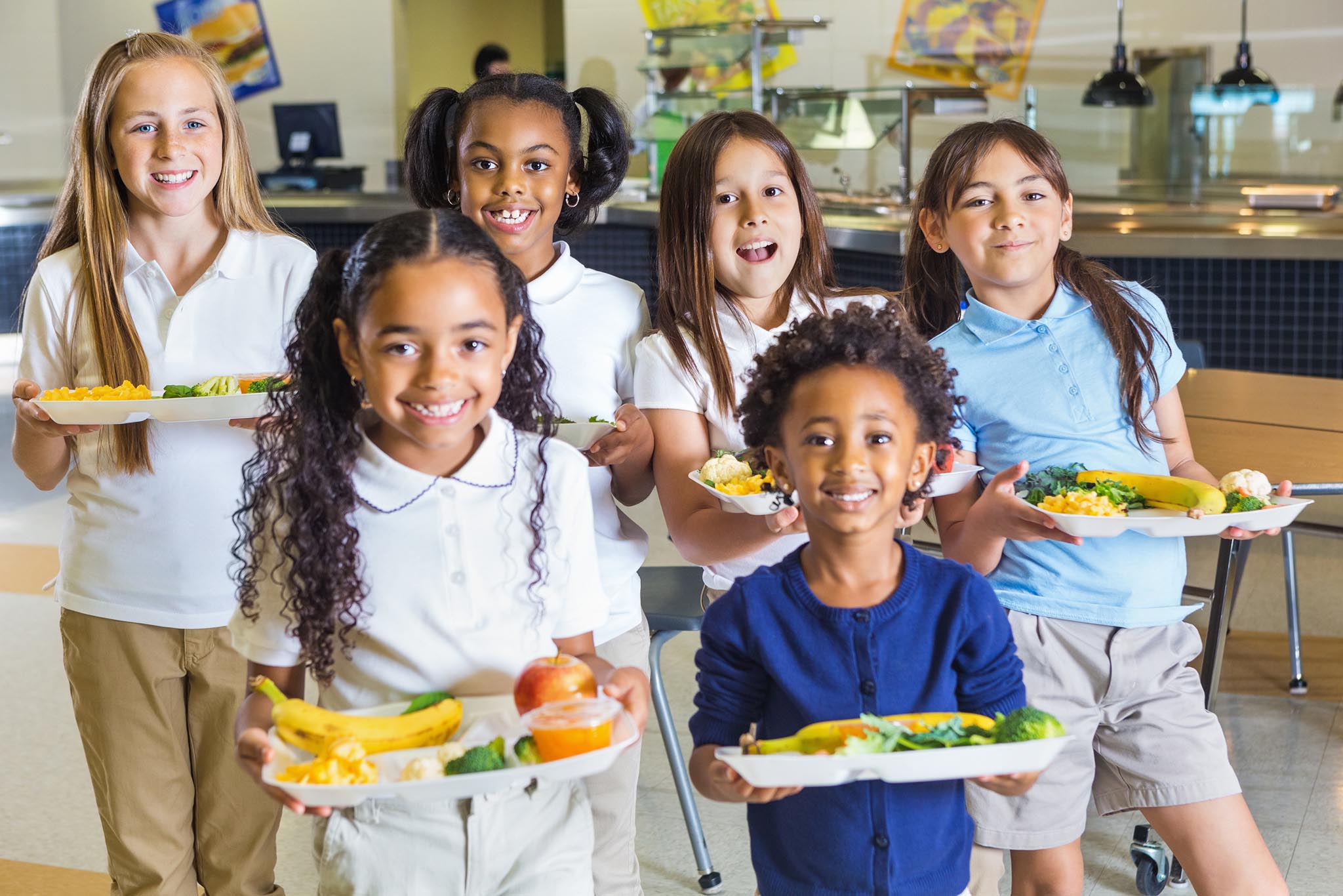 School Lunch Software