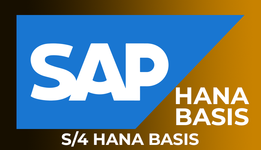 SAP S4 Hana Basis Online Training