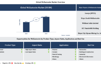 Lucintel Forecasts the Global Wollastonite Market to Reach $398 million by 2035
