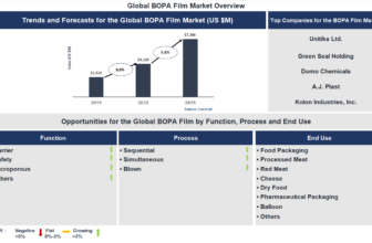 Lucintel Forecasts the Global Biaxially Oriented Polyamide (BOPA) Film Market to reach $7,386 million by 2035