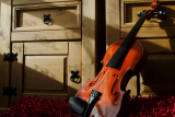 Traverse the world of violin lessons-Sail your dream vessel of violin journey