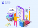 Georgia Test Prep web app for students launches new GA Milestone test practice feature