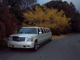 Byrd Limousine provides luxury, safe and secure limousine rentals in Pasadena