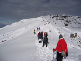 NEW YEAR EVE ON KILIMANJARO WITH KILIMANJARO TRIP SAFARIS