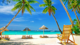 Delights of the Best Andaman Beaches for Honeymooners