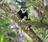 Relish Your Tour to Tanzania with Amazing Kilimanjaro Holiday Packages
