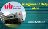 24-7 Professional Assignment Help Luton at Pocket-Friendly Price by Case Study Help