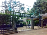 Bandung Zoo: An Enchanting Wildlife Experience in the Heart of Bandung