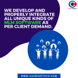 MLM Software Company In Jaipur