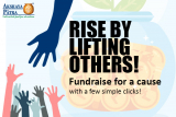 Effectiveness of Online Fundraising Campaigns