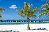 Top Beaches In The Florida Keys, USA – Sunshine, And Smiles