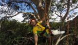 The Manaus Amazons Adventure Tours: For An Unforgettable Experience!