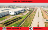 Industrial Plot in Gurgaon