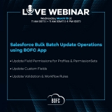 Salesforce Bulk Batch Update Operations using BOFC App