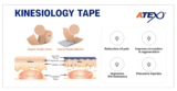 How Kinesiology Tape Enhances Circulation and Speeds Healing | ATEX