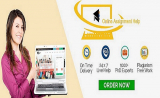 Assignment Writing Service In Australia