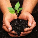 Global Bio Fertilizer Market Growth Opportunities, Industry Analysis, Geographic Segmentation and Competitive Landscape Report to 2024