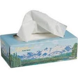 Global Facial Tissue Market 2019 : APP, Hengan, SCA and Kimberly-Clark
