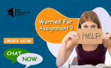 ASSESSMENT ON BUSINESS MODEL