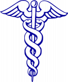 Endoscopy Visualization System Market is Anticipated to Register 7.3% CAGR through 2028